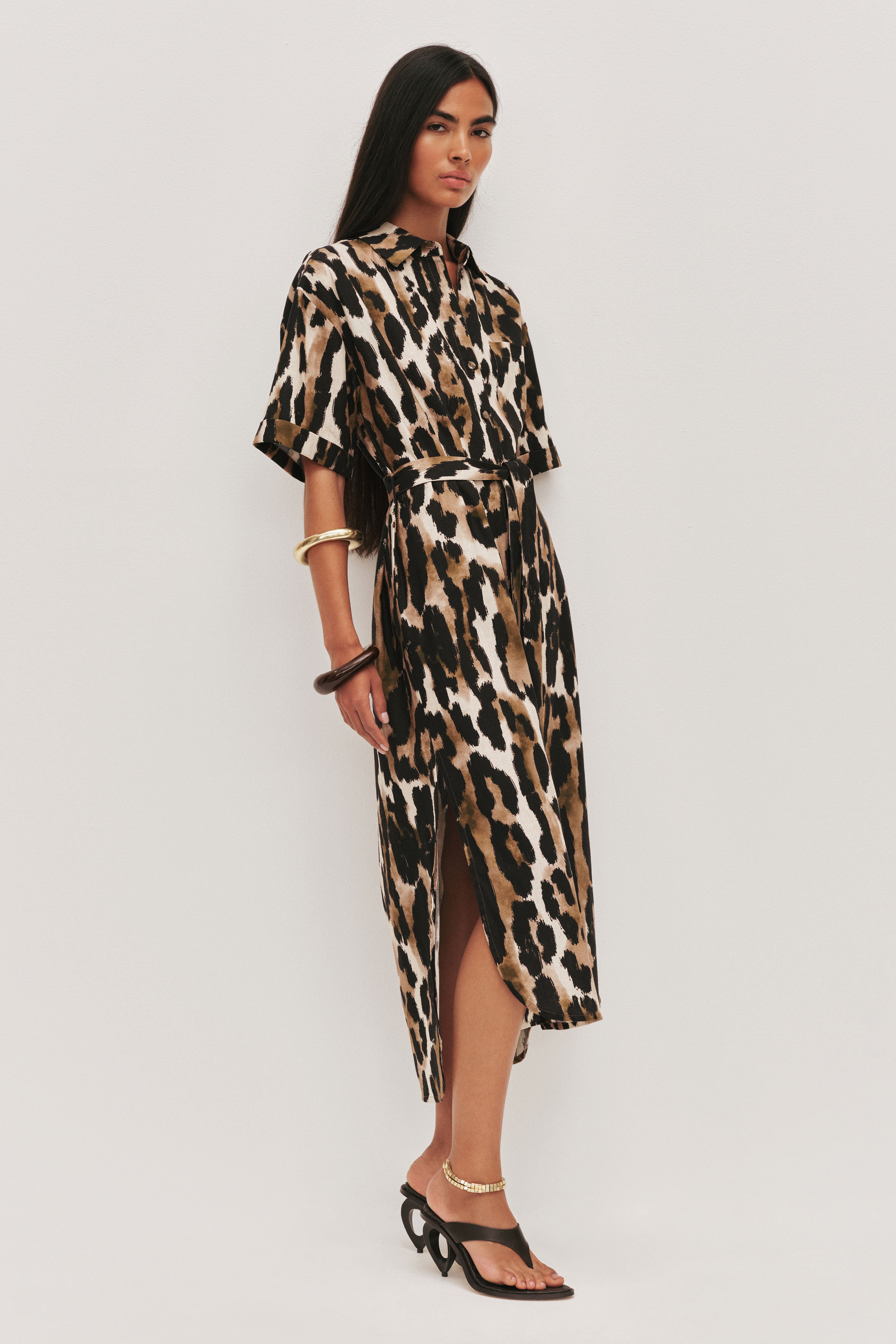 knee length dresses for ladies Airlie Print Midi Dress main image 1