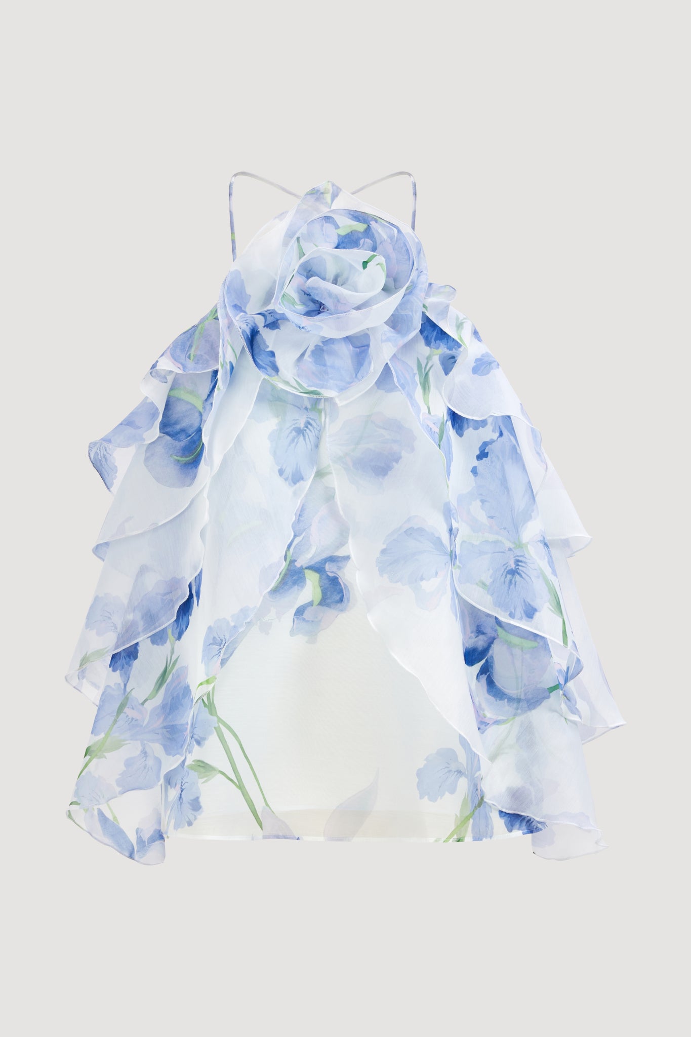 25RE1066_IRIS_2_1770090819