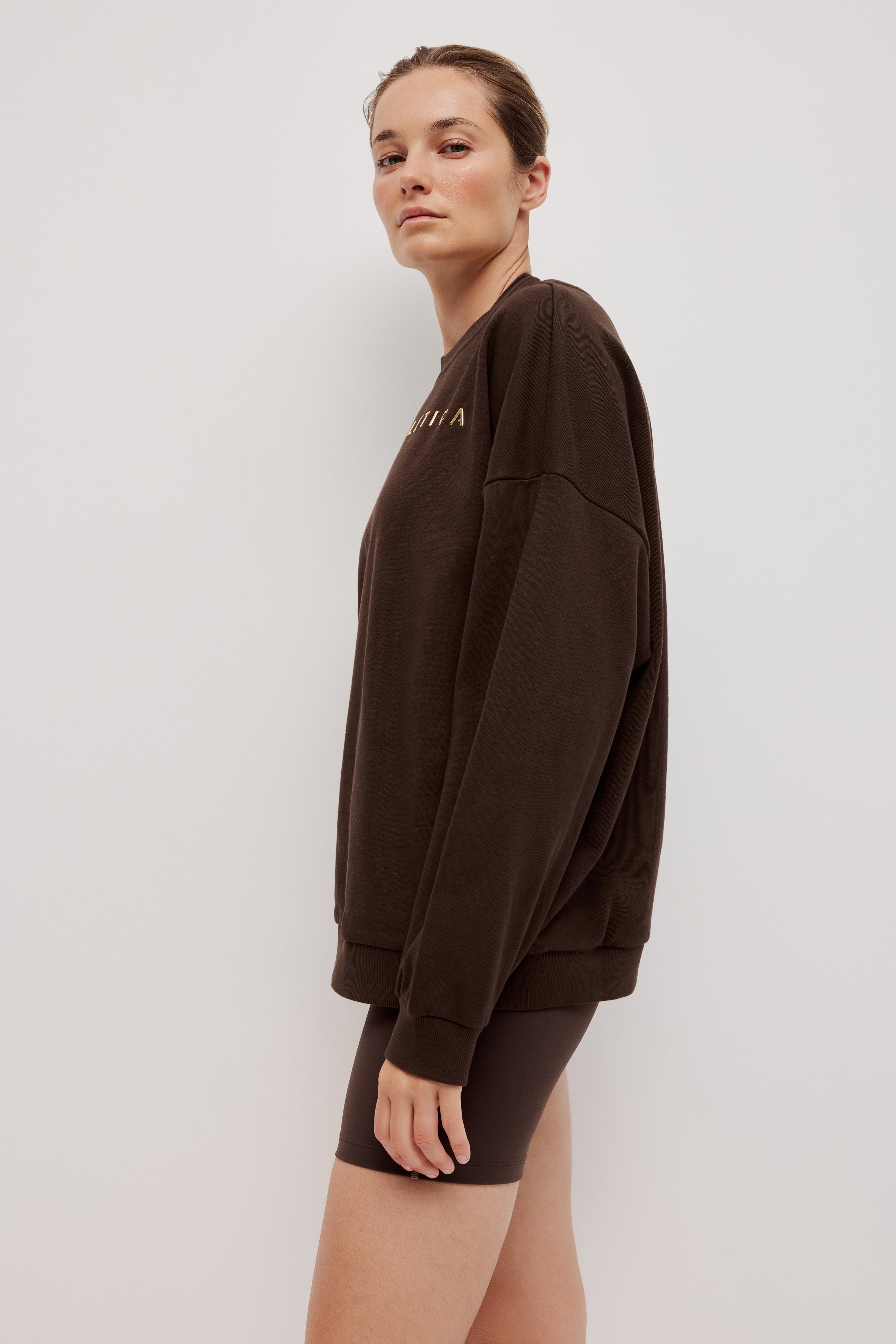 Logo Terry Jumper 401