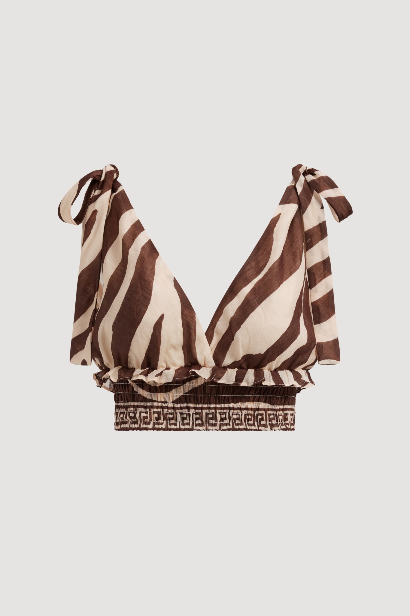 262AS1010_GEO-ZEBRA_2_1761531541