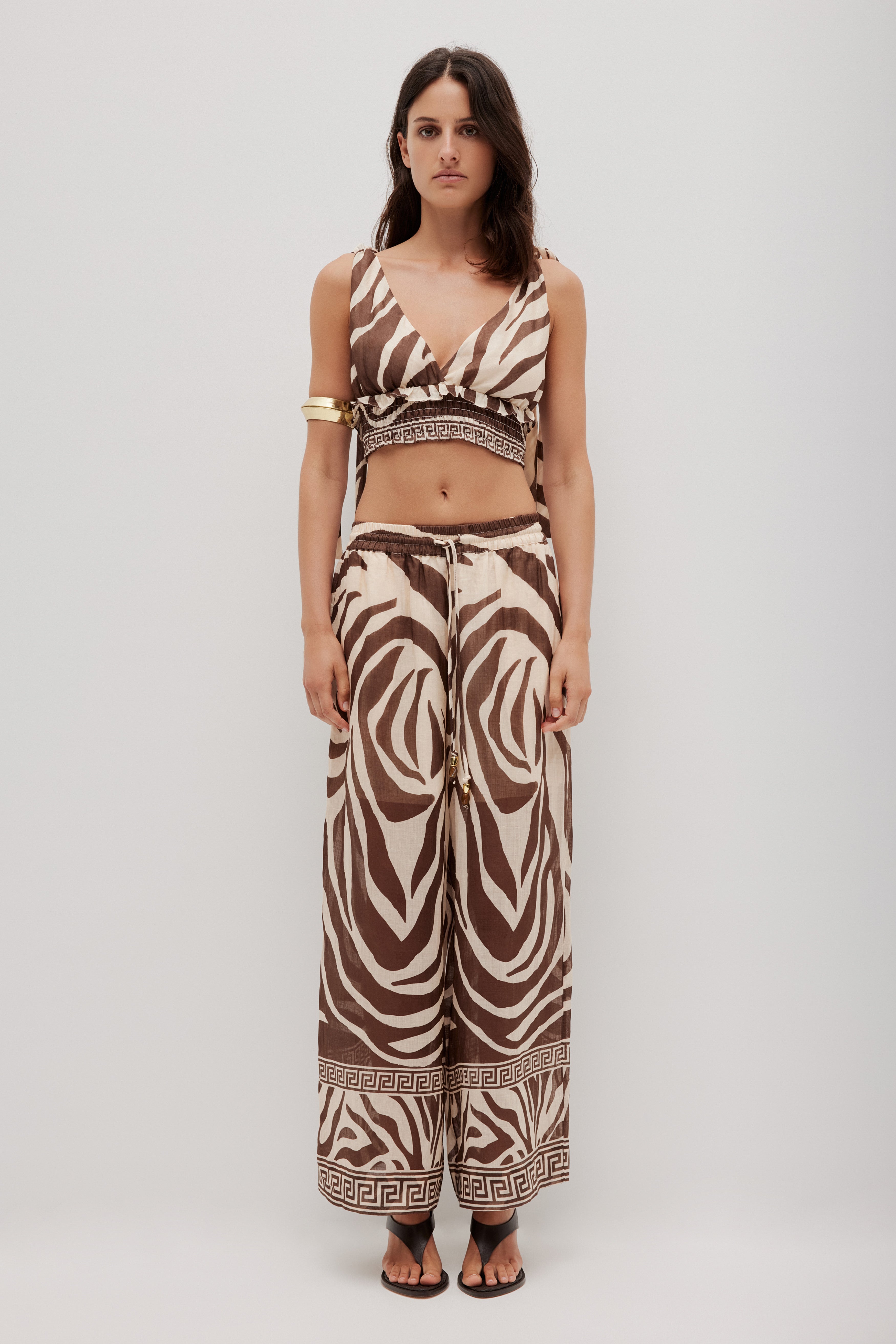 262AS3003_GEO-ZEBRA_3_1761520701