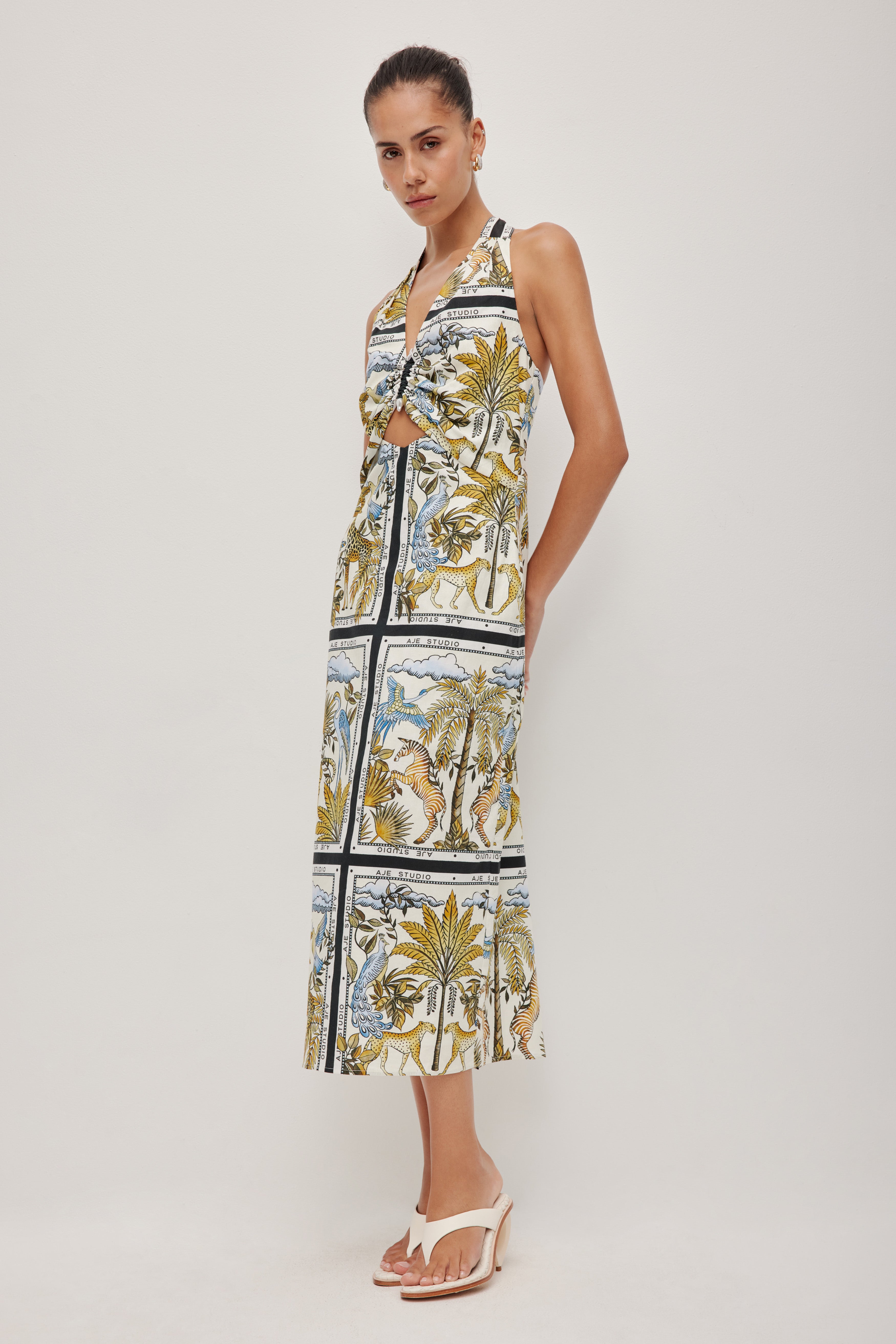 264AS5016_JNGL-PRT_3_1770854331