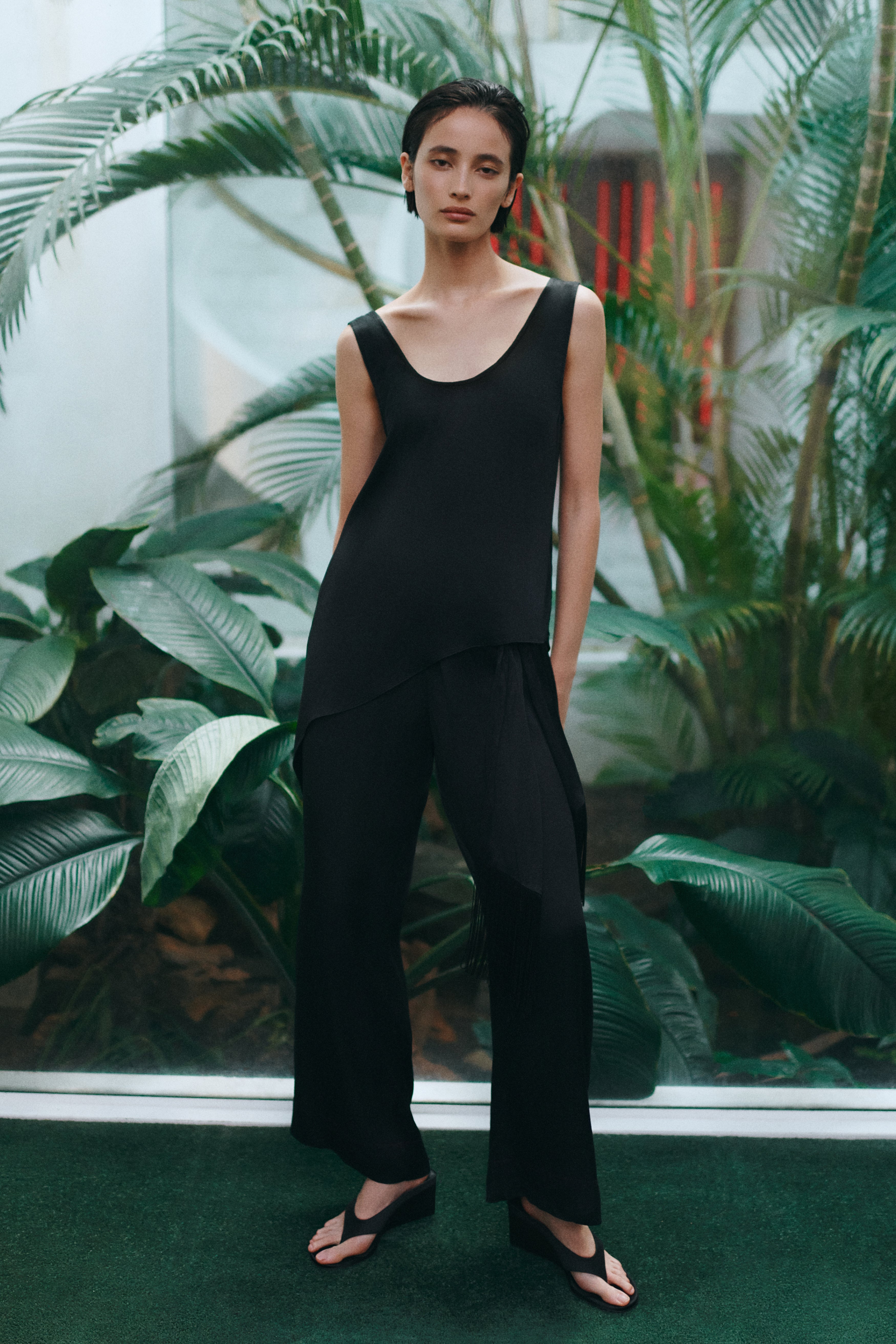 Dawn Asymmetric Top